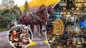 Tipy na víkend: Vánoce začínají v Brně! Pojďte si hrát do Unhoště, běhat nebo na husu