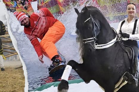 Obrázek: Tipy na víkend: Jízda přes louži! Krása koní i bitva třicetileté války