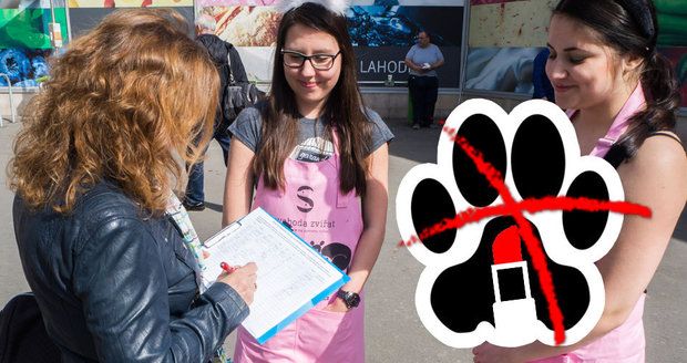 Zvířata protestují proti pokusům: Petici aktivistů může „podepsat“ i pes