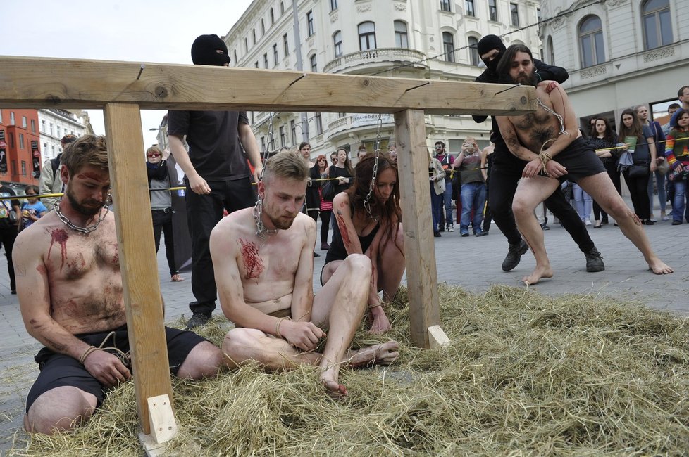 Na náměstí Svobody byli připevněni řetězy ke kůlu, naháněči je pak odvedli k vypalovači, který jim vypálil žhavým železem číslo a zavřel je do klece.