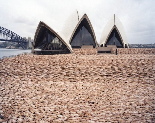 Tunick vytvořil více než 120 instalací nahých skupin ve více než 30 zemích, včetně fotografování v operní budově v Sydney v roce 2010.