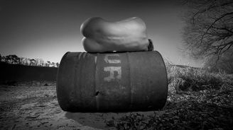 Křehká rovnováha těla i světla. Takhle vypadal leden v Aktech X. Projděte si galerii nejlepších snímků Křehká rovnováha těla i světla. Takhle vypadal leden v Aktech X. Projděte si galerii nejlepších snímků