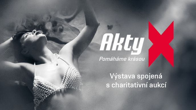 Aukce aktů, která pomáhá ženám s rakovinou prsu Aukce aktů, která pomáhá ženám s rakovinou prsu