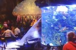 V restauraci v americkém Orlandu prasklo obří akvárium
