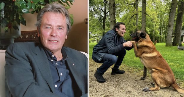 Delon chtěl psa nechat uspat a společně spočinout v hrobě.