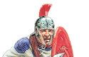 V 5. století už římské legie tvořili romanizovaní germánští vojáci