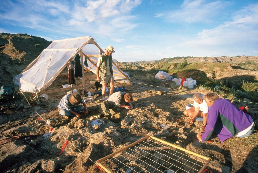 Paleontologické vykopávky v kanadské Albertě