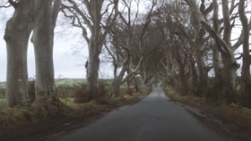 Malebný „stromový“ tunel The Dark Hedges  v realitě.