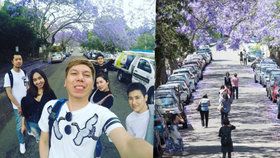 Alej rozkvetlých žakarand láká turisty pořídit si selfie.