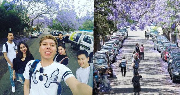 Turisté kvůli selfie blokují dopravu. Vzali útokem květinovou ulici v Sydney