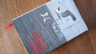 Chorvatsko: Země, kde je Srb pro mnohé stále nepřítel a tamní upíři nejsou dost slavní Chorvatsko: Země, kde je Srb pro mnohé stále nepřítel a tamní upíři nejsou dost slavní