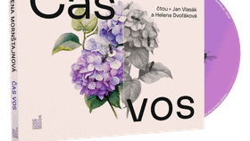 Čas vos.