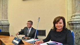 Místopředsedkyně vlády a ministryně financí Alena Schillerová před začátkem schůze vlády (20. 5. 2019)