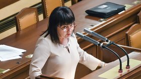 Premiér Andrej Babiš ČTK potvrdil, že nesouhlasí se zrušením plateb státu za státní pojištěnce, jak navrhla ministryně financí Alena Schillerová (za ANO).