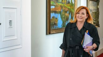 Dálnice i přehrady budou mimo rozpočtový schodek. Měkčí pravidla má i Německo, hájí změny Schillerová Dálnice i přehrady budou mimo rozpočtový schodek. Měkčí pravidla má i Německo, hájí změny Schillerová