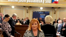 Alena Schillerová se na instagramu pochlubila fotografií z poslaneckého sálu.