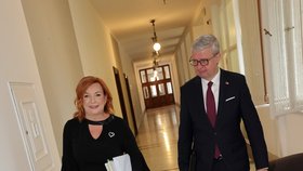 Alena Schillerová a Karel Havlíček (ANO) při příchodu na jednání vlády (31.8.2026)
