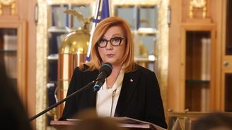 „Účet pro vnoučata i podvod na voliče.“ Sněmovna svádí bitvu o prezidentské veto rozpočtové novely „Účet pro vnoučata i podvod na voliče.“ Sněmovna svádí bitvu o prezidentské veto rozpočtové novely