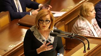 Sněmovna schválila základní údaje rozpočtu na příští rok, počítá se schodkem 386 miliard Sněmovna schválila základní údaje rozpočtu na příští rok, počítá se schodkem 386 miliard