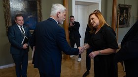 Alena Schillerová (ANO) na schůzce s prezidentem Petrem Pavlem na Hradě (březen 2026)