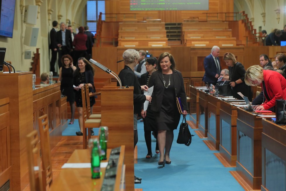 Ministryně financí Alena Schillerová (za ANO) v Senátu. (30. 1. 2020)