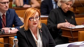 Alena Schillerová (ANO) ve Sněmovně na jednání rozpočtového výboru (listopad 2025)