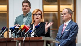 Alena Schillerová (ANO) ve Sněmovně na jednání rozpočtového výboru (listopad 2025)