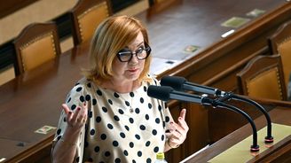 Sněmovna schválila opětovné zavedení EET od příštího roku bez tištěných účtenek Sněmovna schválila opětovné zavedení EET od příštího roku bez tištěných účtenek