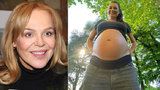 Těhotná Šeredová ukázala obří břicho: „Explozí“ dostala i Dagmar Havlovou!