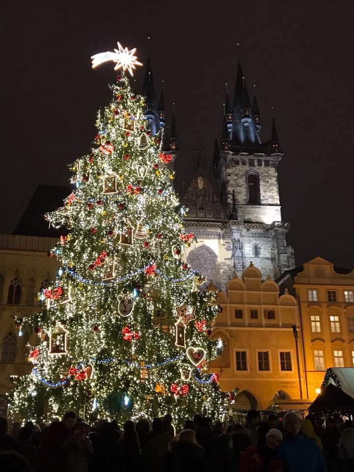 Vánoční strom na Staroměstském náměstí v Praze Daniele učaroval.