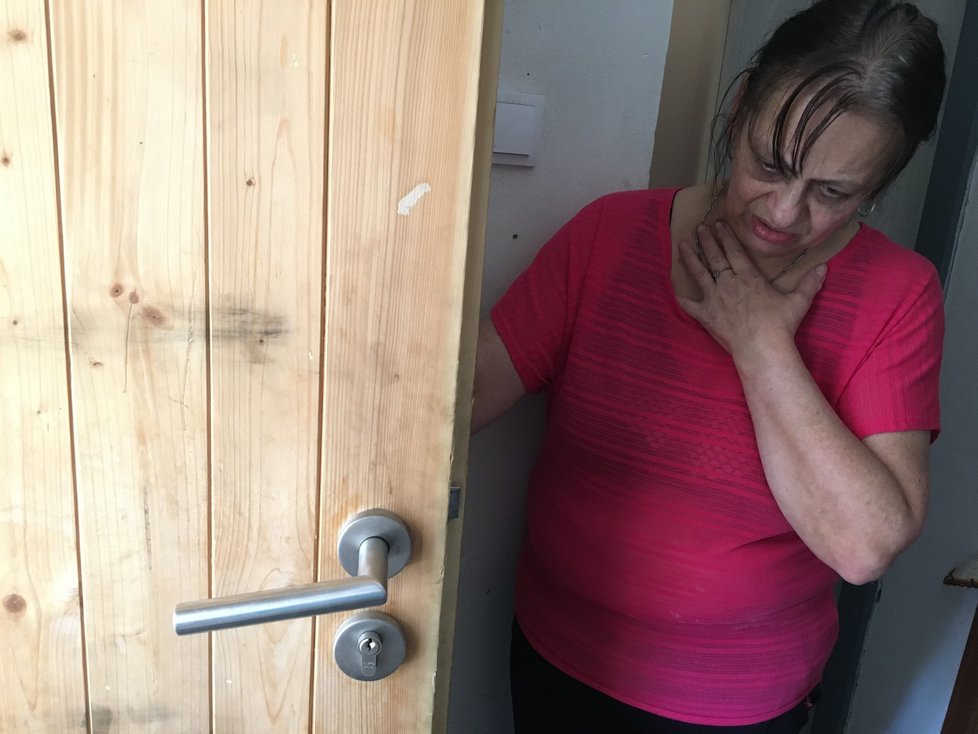 Podle Aleny Sirnicové (58) vykopl jeden z útočníků dveře do jejího domu.