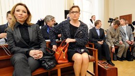 Vitásková se Schneiderovou u soudu kvůli dvěma licencím pro chomutovské elektrárny