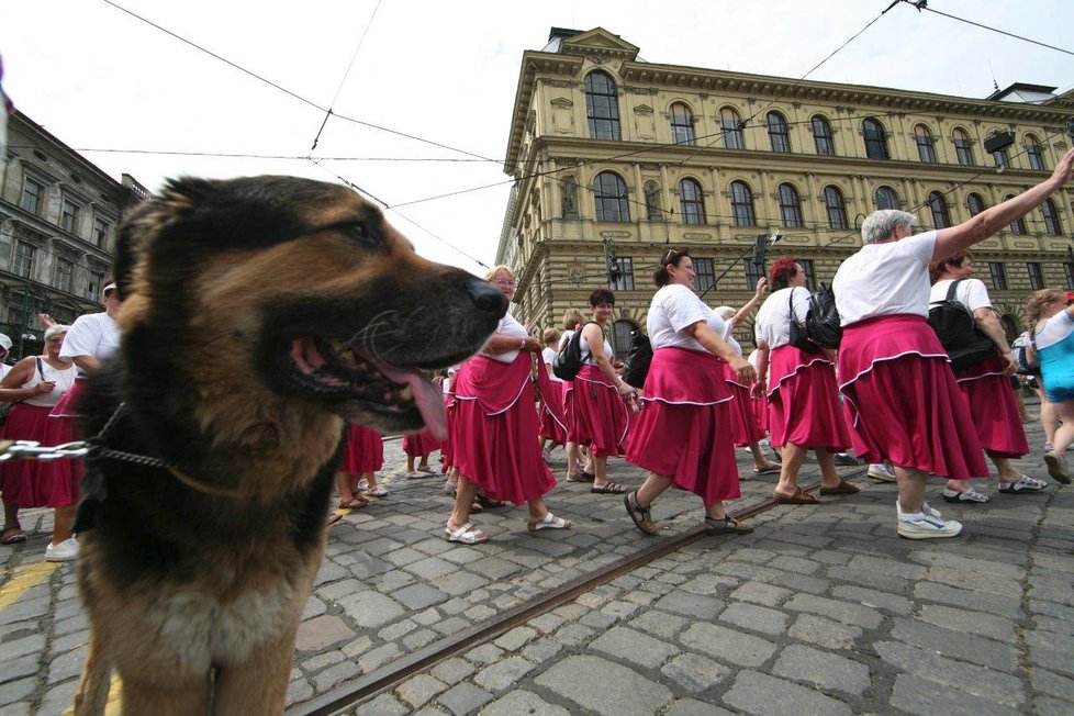 Tvorba Aleny Vykulilové se vykazuje nápaditostí. V tomto případě se fotografie jmenuje Sokolky pod kontrolou.