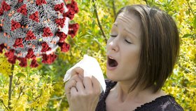 Březen, měsíc alergií? Proč alergiky ohrožuje koronavirus?