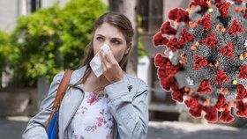 Alergici jsou ohroženi koronavirem. (Ilustrační foto)