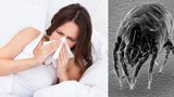 Zachrání alergiky nanobavlna? Díky českému vynálezu by mohli spát i v peří