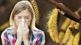 Špatná zpráva pro alergiky: Pylová sezona je tu. Začala velmi brzy, lékař řekl víc