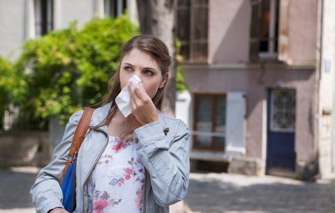 Alergikům začalo peklo. Kvetou lísky, brzy se přidají břízy a topoly