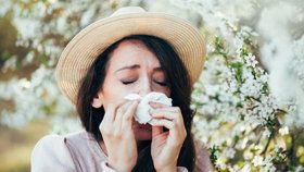 Pylová alergie dokáže znepříjemnit život. Víme, jak s ní účinně bojovat!