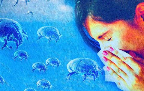Z alergické rýmy se může vyklubat nebezpečné astma. Ročně zabije až 150 Čechů