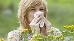 Kýcháte? Teče vám z nosu? Je to jen nachlazení, nebo alergická rýma? 