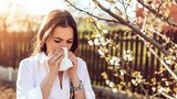 Užijte si jaro bez alergie. Která přírodní antihistaminika vás zachrání?
