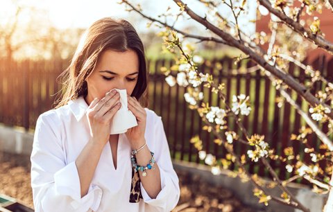 5 nejčastějších mýtů o alergiích, které jste nejspíš považovali za pravdivé