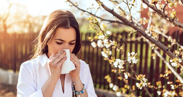 5 nejčastějších mýtů o alergiích, které jste nejspíš považovali za pravdivé Kolem alergie panuje mnoho mýtů.