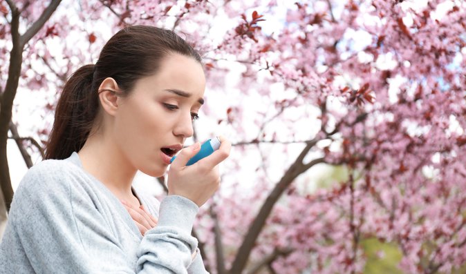 Pylová alergie: Jak snížit dušnost, rýmu a otoky a kdy vyzkoušet homeopatika