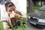 Auta pokrytá pylem: Alergici zažívají těžké období