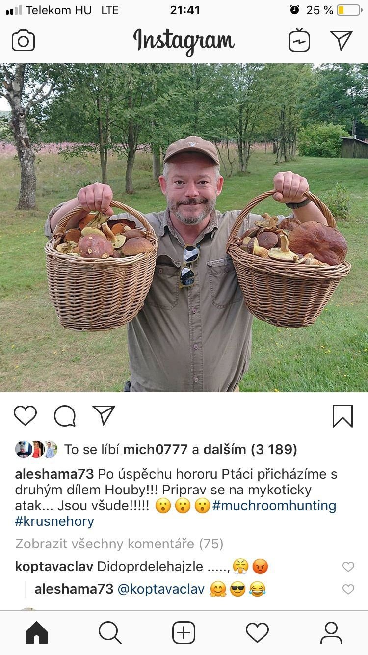 Aleš Háma: Horor, houby jsou všude!