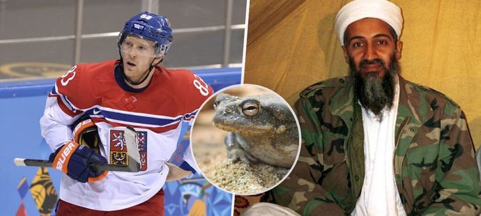 Aleš Hemský se podělil o zajímavý zážitek.