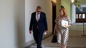 Aleš Juchelka a Alena Schillerová (oba ANO)