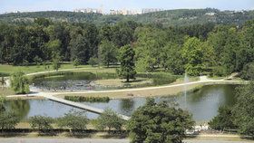Stromovku, park U Čeňku a Petřín letos obohatilo 186 nových stromů.